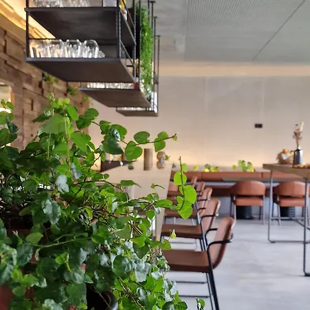 فندق Puro Dao & نيلاس