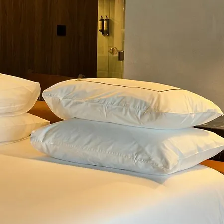 Hotel Puro Dao & Nelas