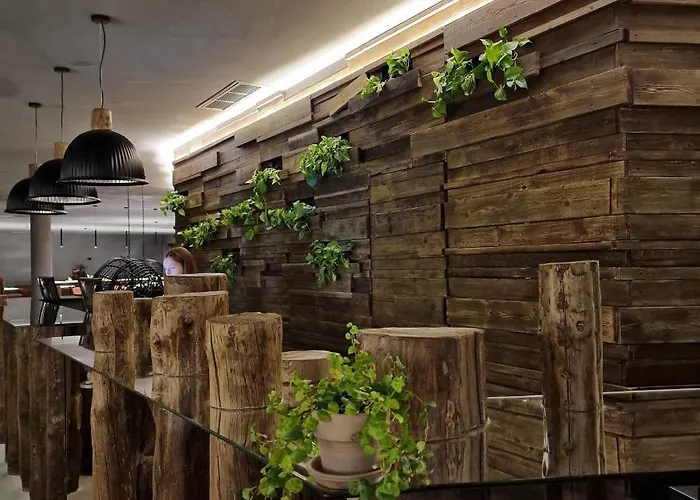 Hotel Puro Dão Hotel&spa Nelas