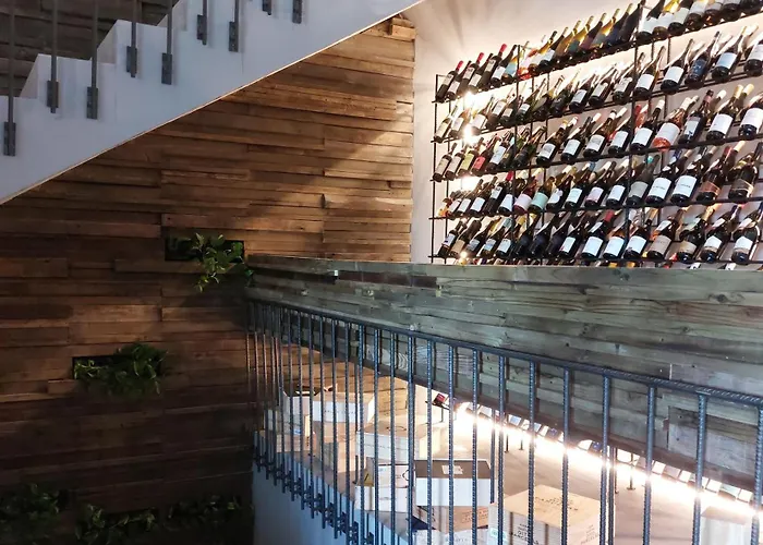 Puro Dão Hotel&spa 4* Nelas