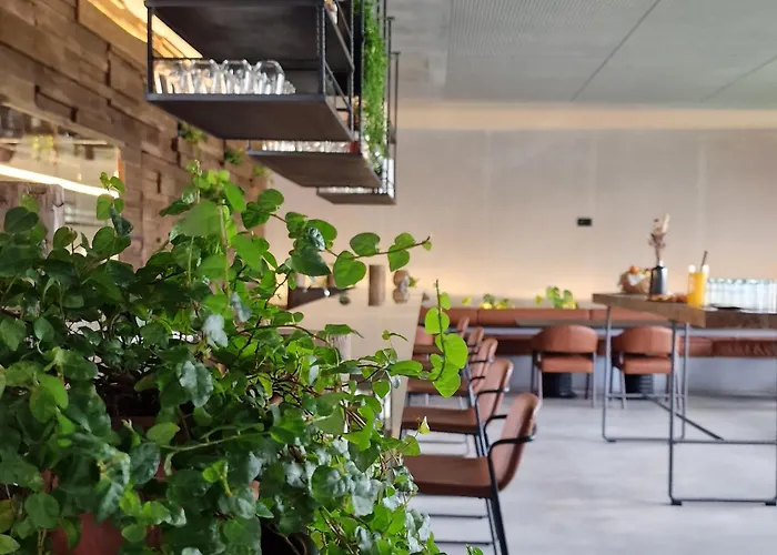 Hotel Puro Dão Hotel&spa Nelas