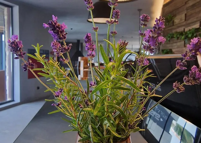 Puro Dão Hotel&spa 4*