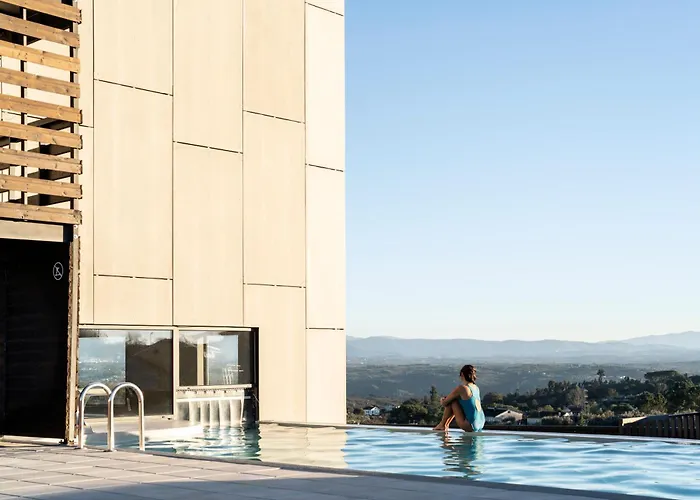 Puro Dão Hotel&spa Hotel Nelas