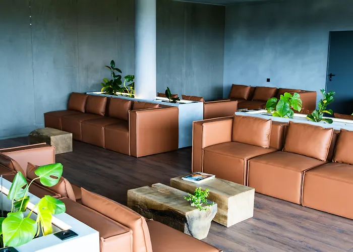 Puro Dão Hotel&spa Nelas